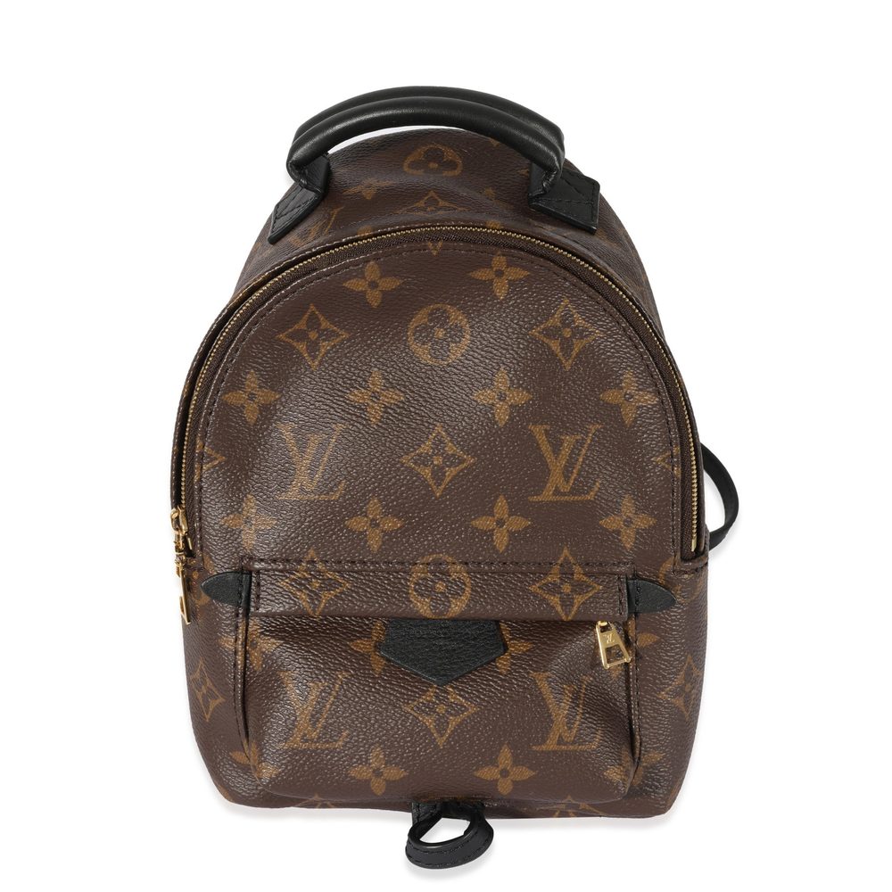 Louis Vuitton Monogram Canvas Palm Springs Mini Backpack